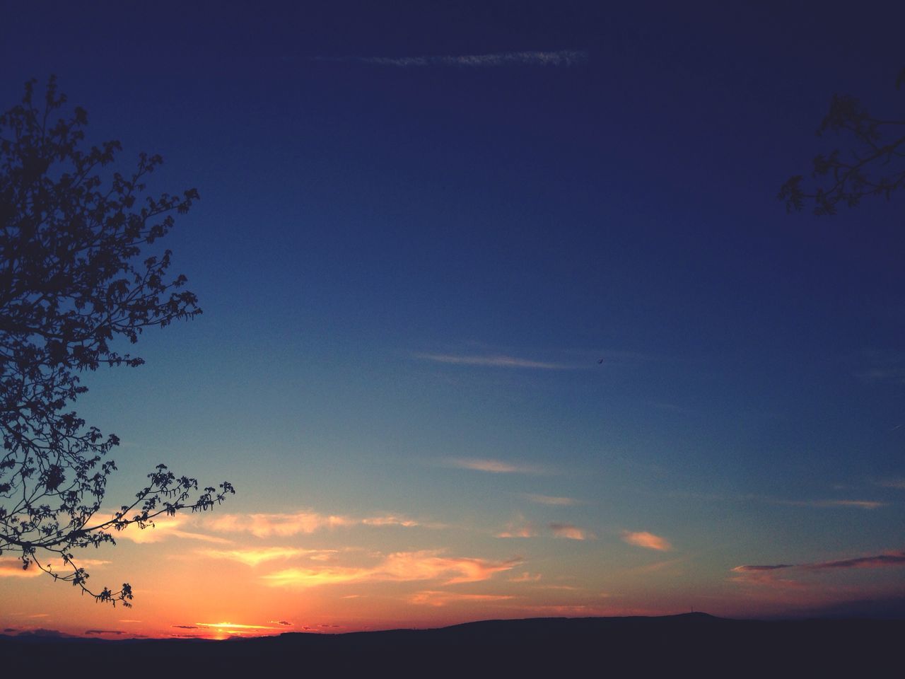 sunset, silhouette, tranquil scene, tranquility, scenics, beauty in nature, sky, nature, tree, landscape, idyllic, orange color, non-urban scene, dusk, sun, outdoors, blue, copy space, field, cloud - sky