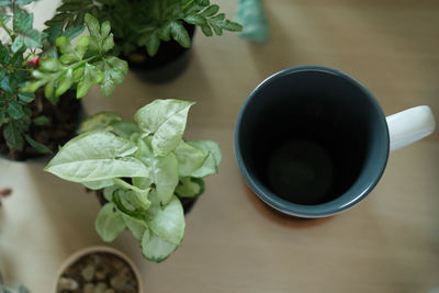 High angle view of coffee on table