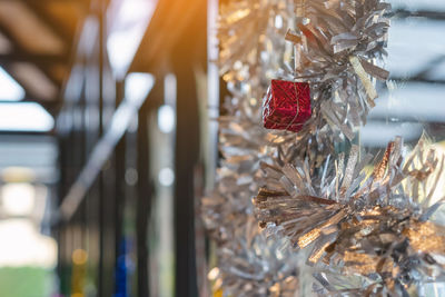 Close-up of christmas tree