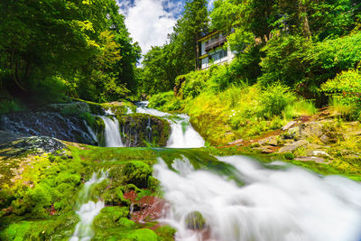 Scenic view of oshidori waterfall