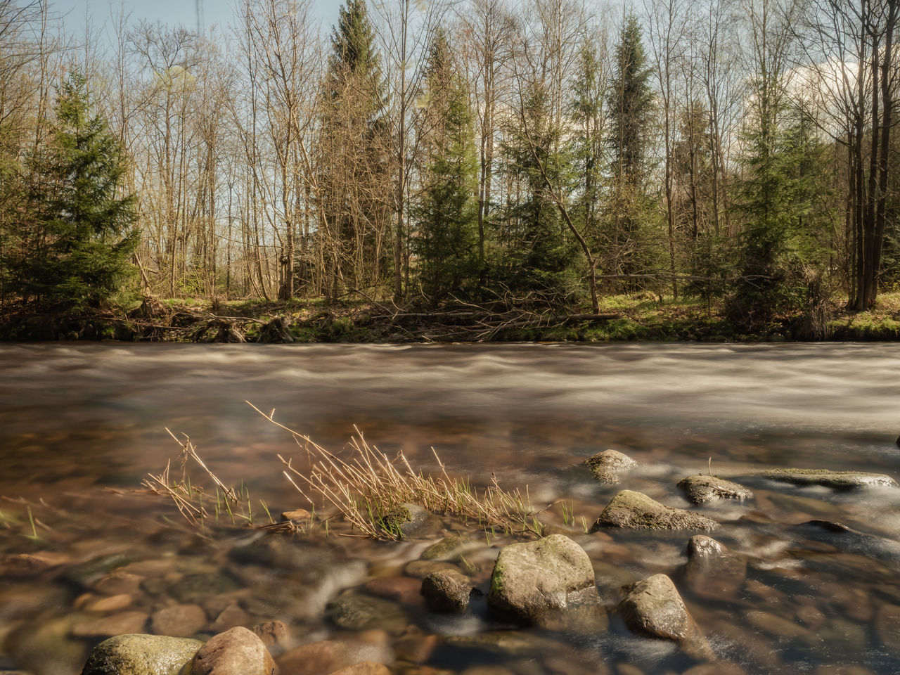 SURFACE LEVEL OF WATER FLOWING THROUGH TREES