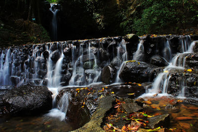 Scenic view of waterfall in forest