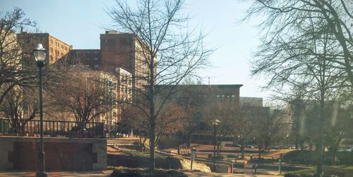 Bare trees in front of building