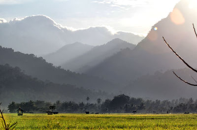 Scenic view of field against sky