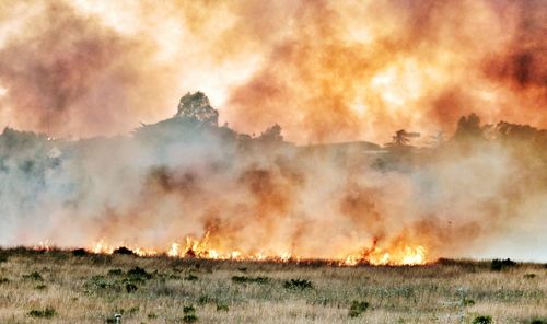 Fire on a field