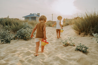 Rear view of bothers walking on beach