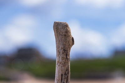 Close-up of wooden post on field against sky