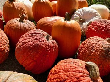 Fall pumpkins