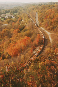 Road amidst trees during autumn