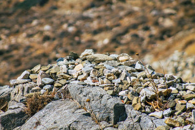 Close-up of stones on rock