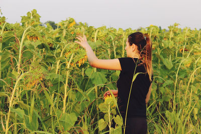 Side view of woman standing by sunflowers at farm