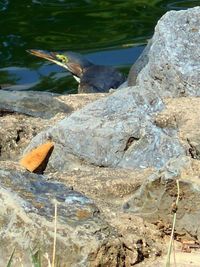 River flowing through rocks