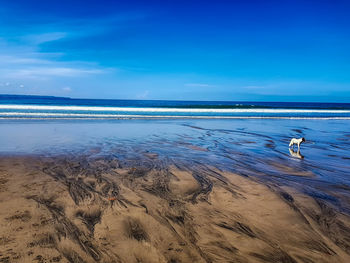 Scenic view of sea against blue sky