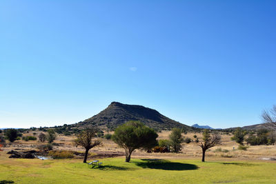 Scenic view of landscape against clear blue sky