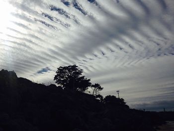 Low angle view of silhouette trees against sky