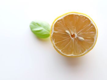 Close-up of lemon slice against white background