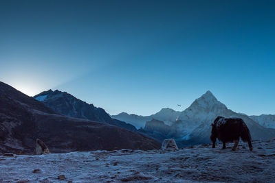 View of a horse on mountain against sky