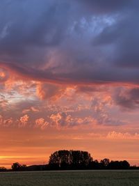 Silhouette trees on field against sky during sunset