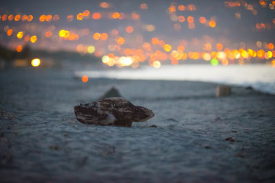 Close-up of illuminated lights on beach against sky at sunset
