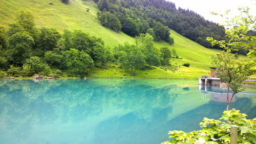 Scenic view of lake