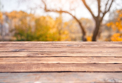 Surface level of boardwalk on footpath in park