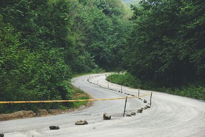 Empty road amidst trees in forest