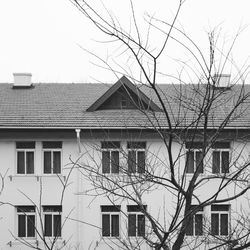 Bare tree and buildings against sky