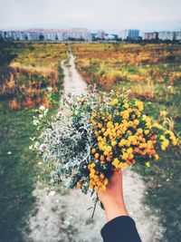 Midsection of person holding yellow flowering plant on field