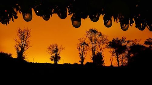 Low angle view of silhouette trees against sky at sunset