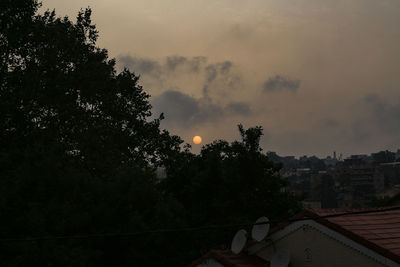 Trees and houses against sky during sunset