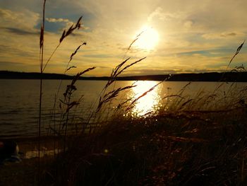 Scenic view of sunset over river