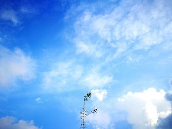 Low angle view of tree against blue sky