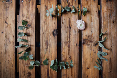 Close-up of plants hanging on wood