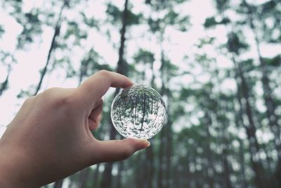 Close-up of hand holding crystal ball