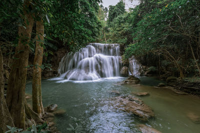 Waterfall in forest