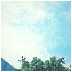 Low angle view of trees against cloudy sky