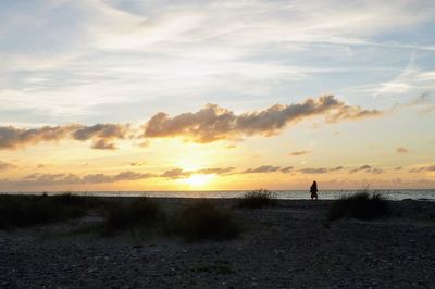 Scenic view of beach against sky during sunset