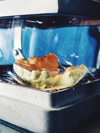 Close-up of ice cream in plate