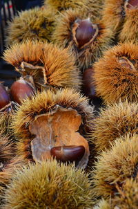 Close-up of christmas decorations