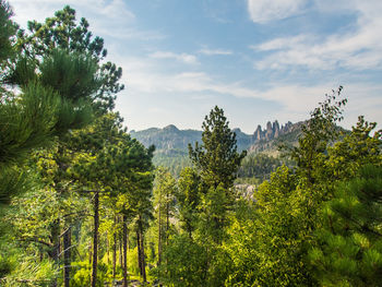 Scenic view of trees and mountains against sky