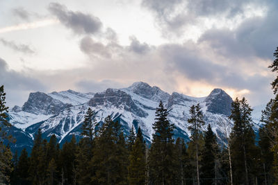 Snow-capped mountains with dramatic sky at sunset with pine trees in canada.