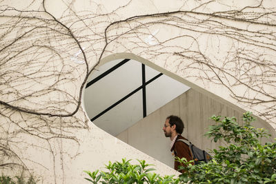 Young man looking away while sitting on bare tree