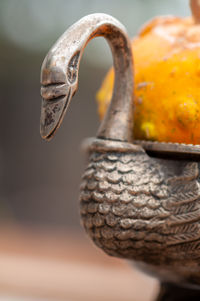 Close-up of a bird