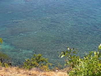 High angle view of a beach