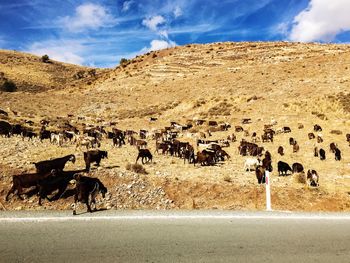 Scenic view of desert against sky