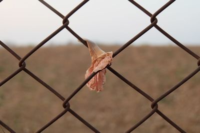 Close-up of chainlink fence against sky