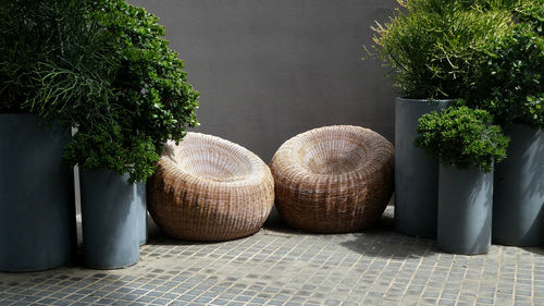 Outdoor living space with potted plants and wicker chairs