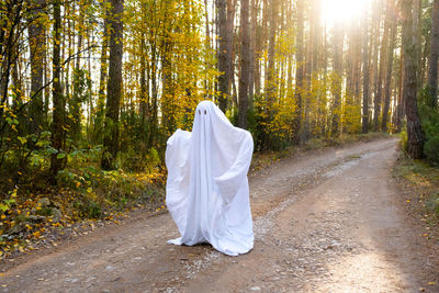 Rear view of woman standing in forest