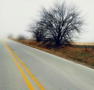 Country road along trees