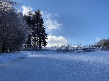 Trees on snow covered field against sky